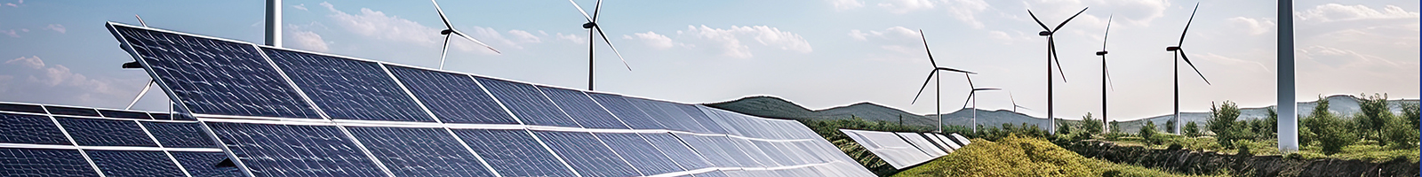 Auszug FGH Referenzen